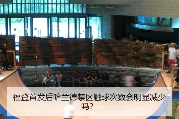 福登首发后哈兰德禁区触球次数会明显减少吗？